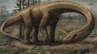 <em>io9</em> 'Shop Contest: <em>Dreadnoughtus</em> Edition